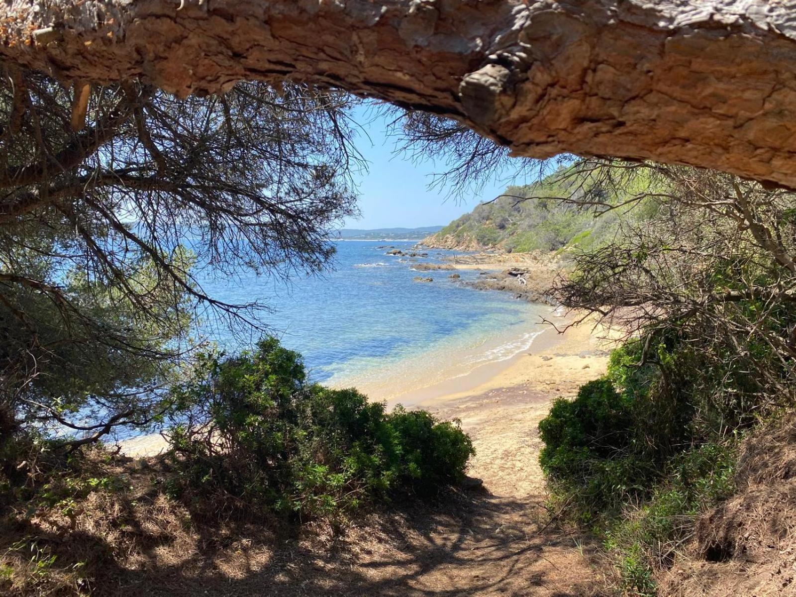 Rives D'or - Vue - Climatisee *